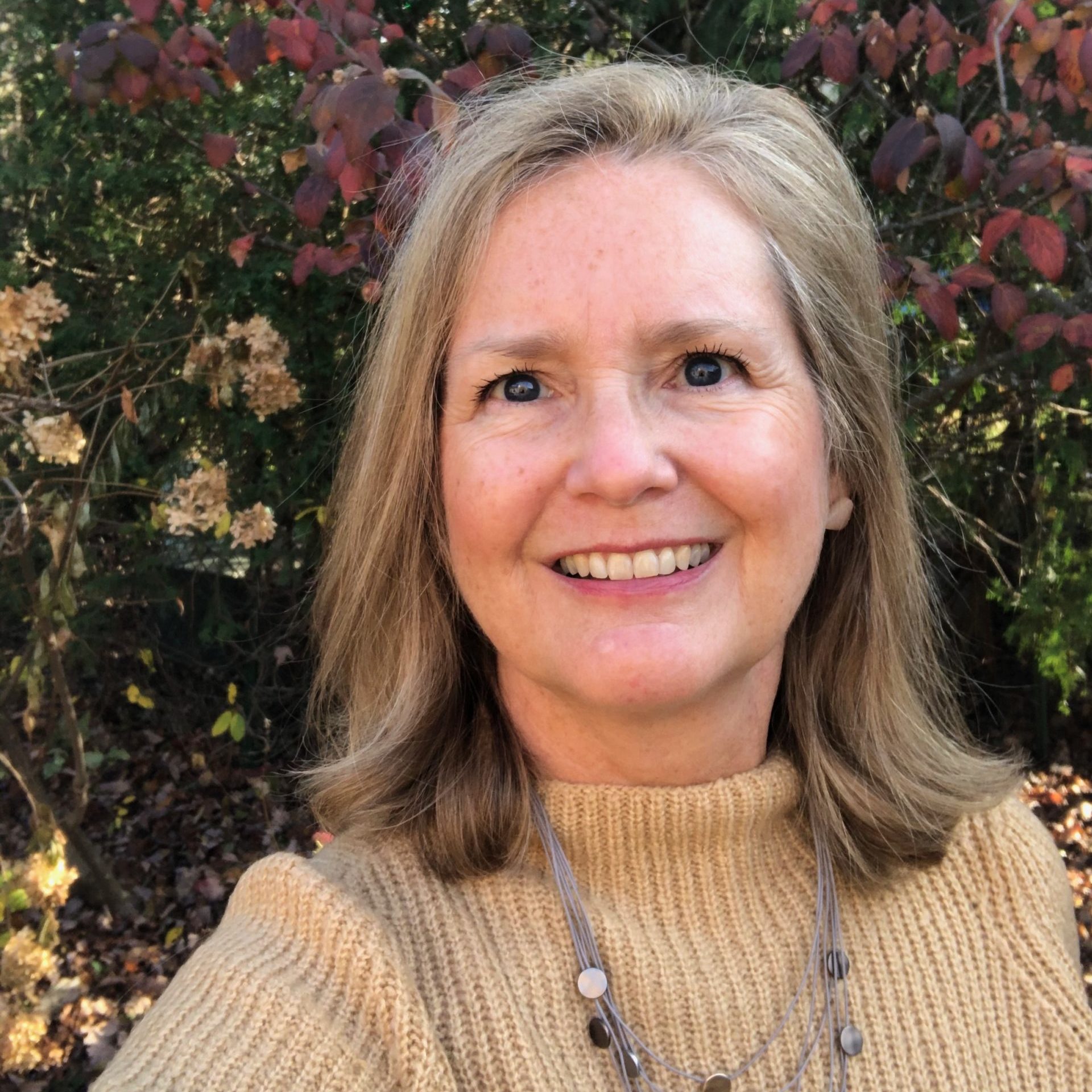 Hilary Allen : Program Manager